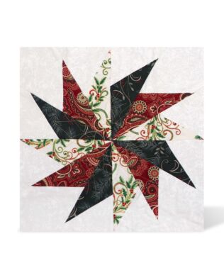 GO! Pinwheel Shape Set-12” Finished Die by Sew Steady