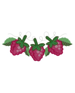 Raspberry Embroidery Single Design by OESD
