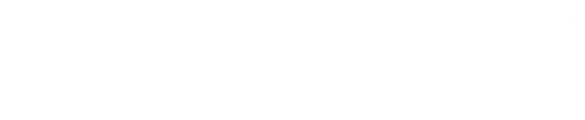 Introducing AccuQuiltable&trade; Design Software